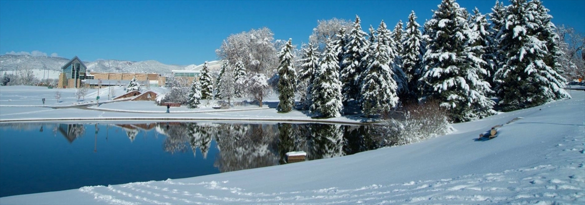 The Lagoon in Winter